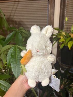 Plush White Bunny with Orange Carrot Small Pet Toy